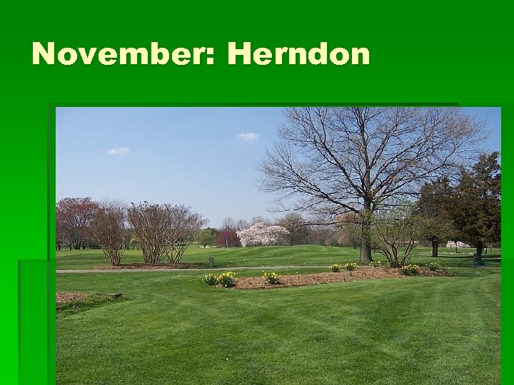 November: Herndon 