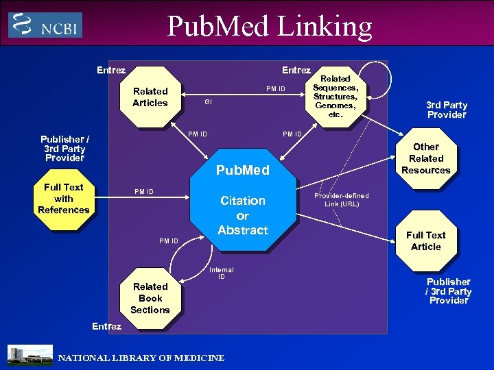 Pub. Med Linking Entrez Related Articles PM ID GI PM ID Publisher / 3