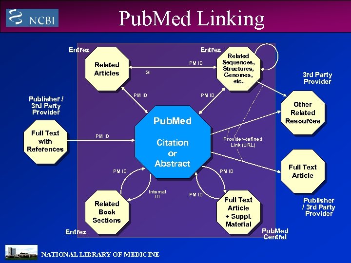 Pub. Med Linking Entrez Related Articles PM ID GI PM ID Publisher / 3