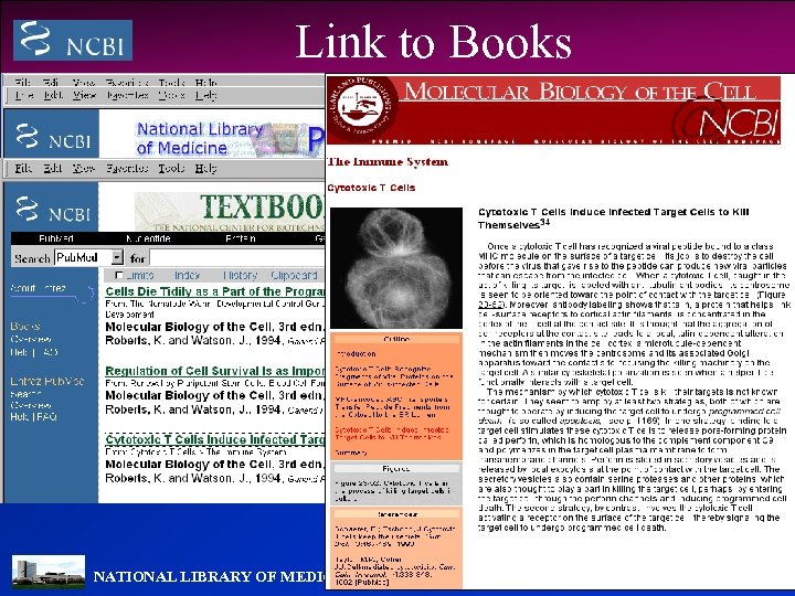 Link to Books NATIONAL LIBRARY OF MEDICINE 