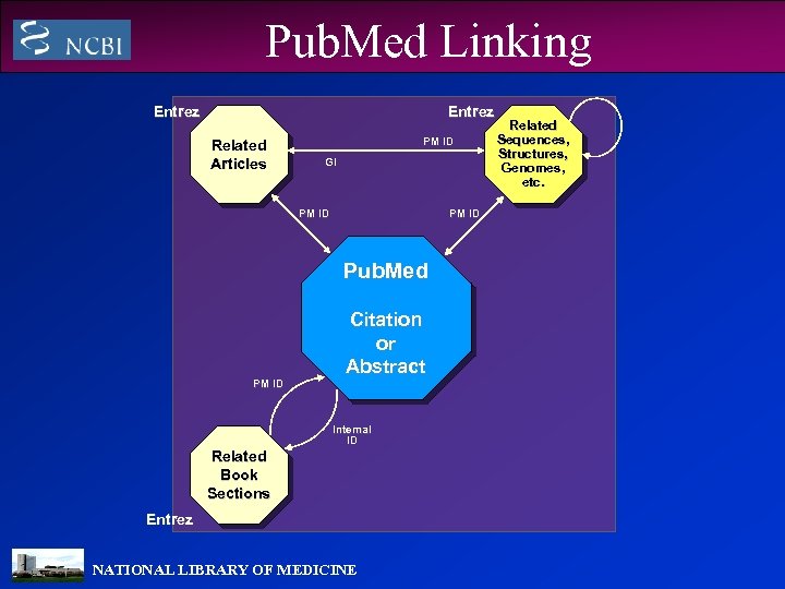 Pub. Med Linking Entrez Related Articles PM ID GI PM ID Pub. Med PM