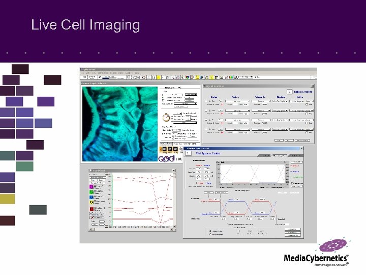 Live Cell Imaging 