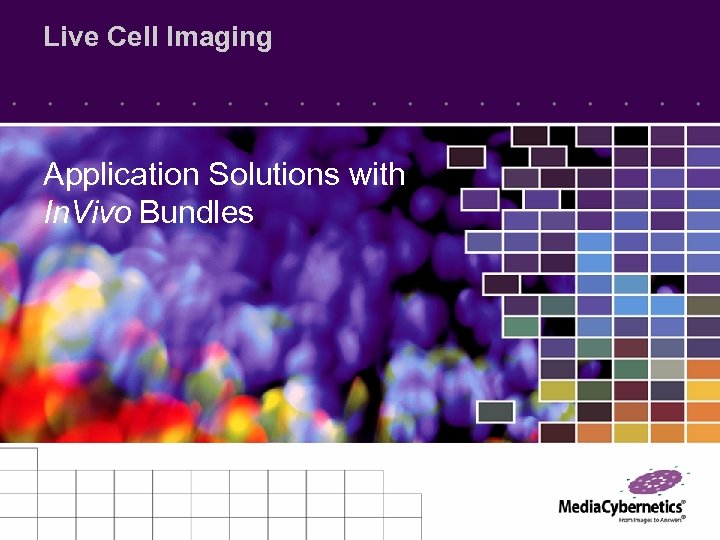 Live Cell Imaging Application Solutions with In. Vivo Bundles 
