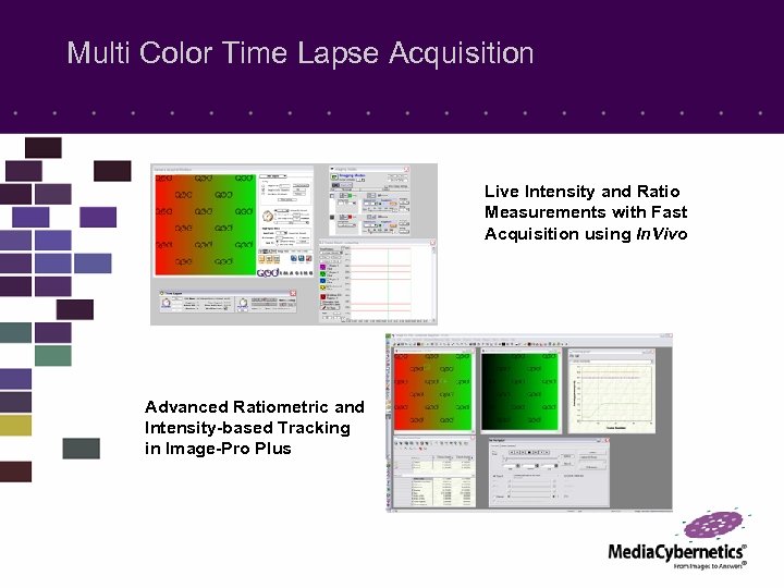Multi Color Time Lapse Acquisition Live Intensity and Ratio Measurements with Fast Acquisition using