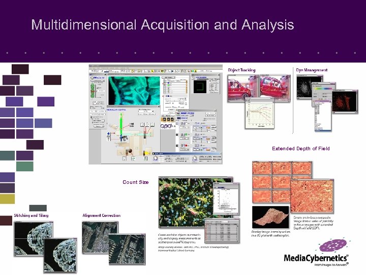 Multidimensional Acquisition and Analysis Extended Depth of Field Count Size 