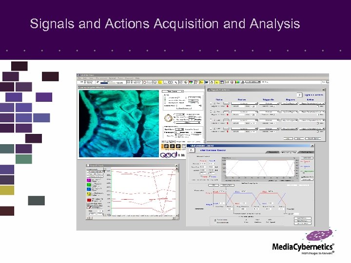Signals and Actions Acquisition and Analysis 