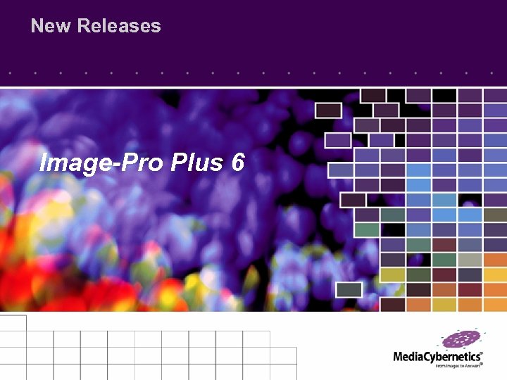 New Releases Image-Pro Plus 6 