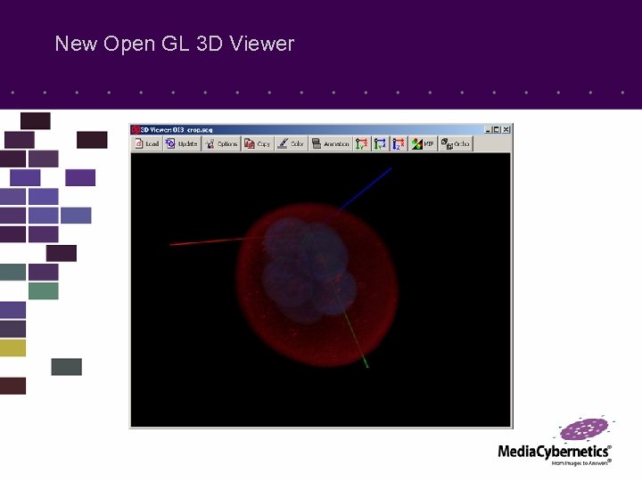 New Open GL 3 D Viewer 