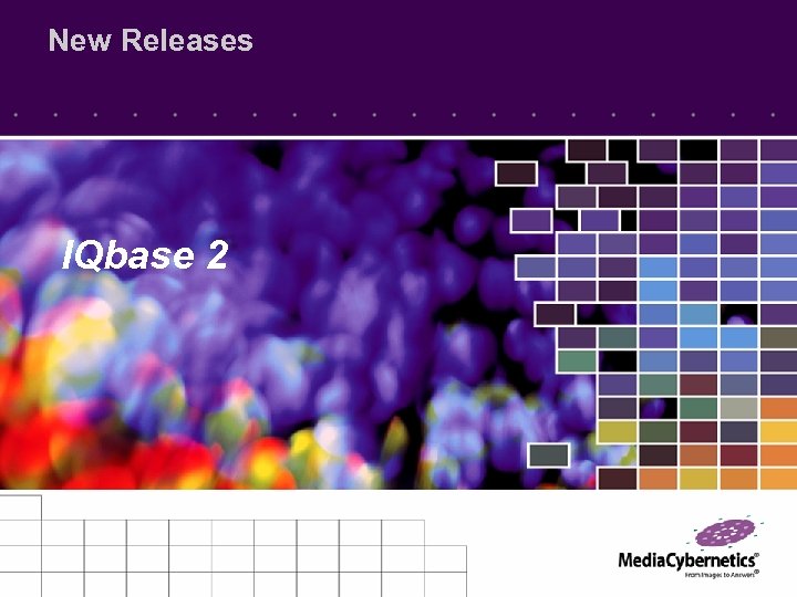 New Releases IQbase 2 