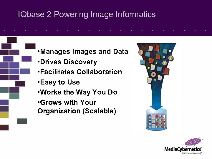 IQbase 2 Powering Image Informatics • Manages Images and Data • Drives Discovery •