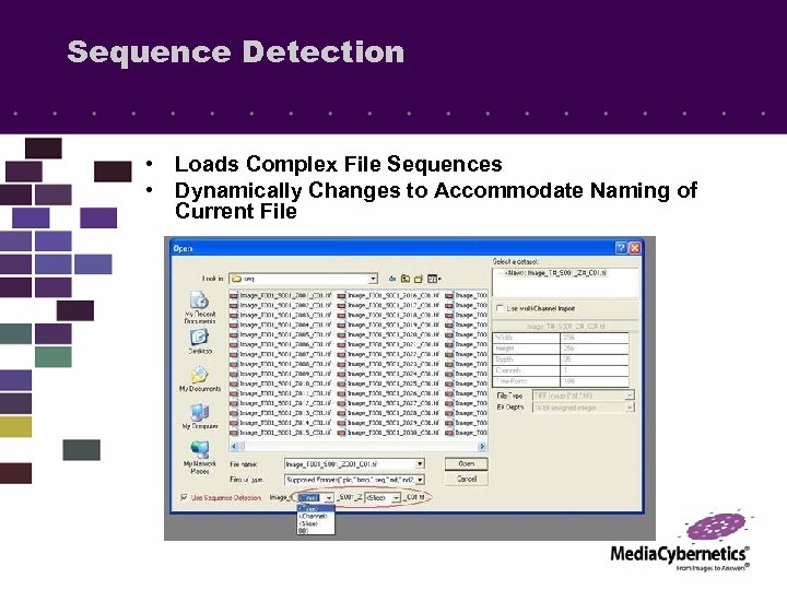 Sequence Detection • Loads Complex File Sequences • Dynamically Changes to Accommodate Naming of