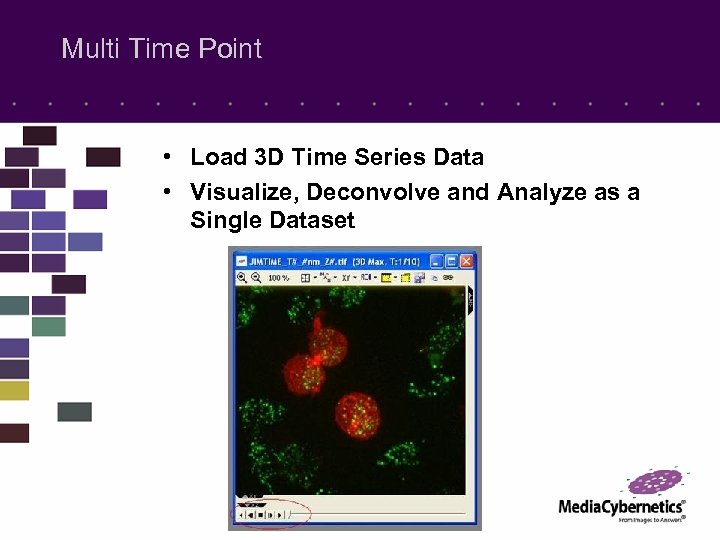 Multi Time Point • Load 3 D Time Series Data • Visualize, Deconvolve and