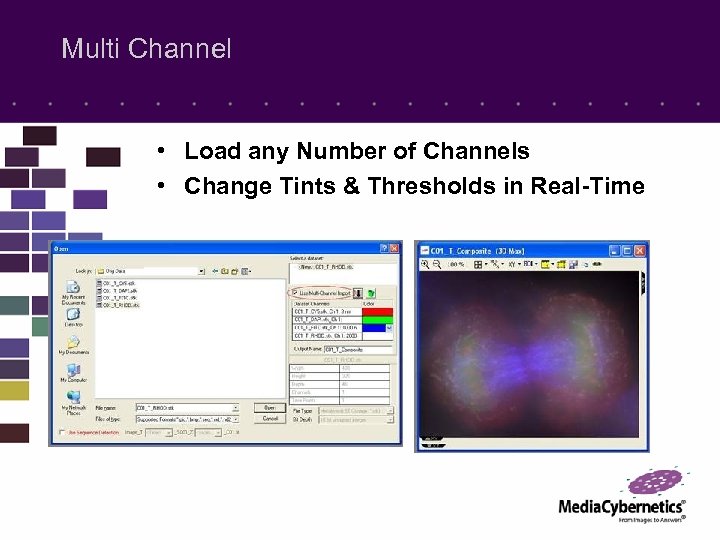 Multi Channel • Load any Number of Channels • Change Tints & Thresholds in