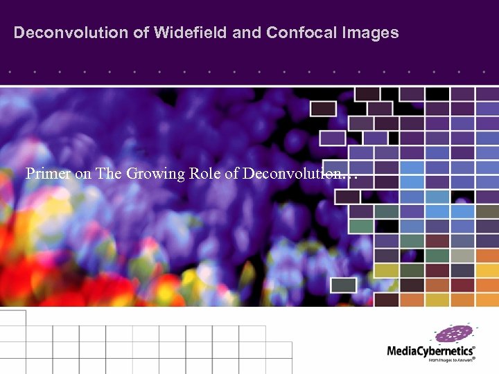 Deconvolution of Widefield and Confocal Images Primer on The Growing Role of Deconvolution… 