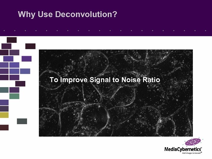 Why Use Deconvolution? To Improve Signal to Noise Ratio 