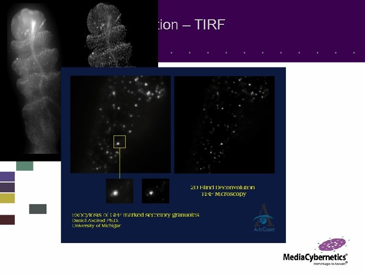 2 D Blind Deconvolution – TIRF 