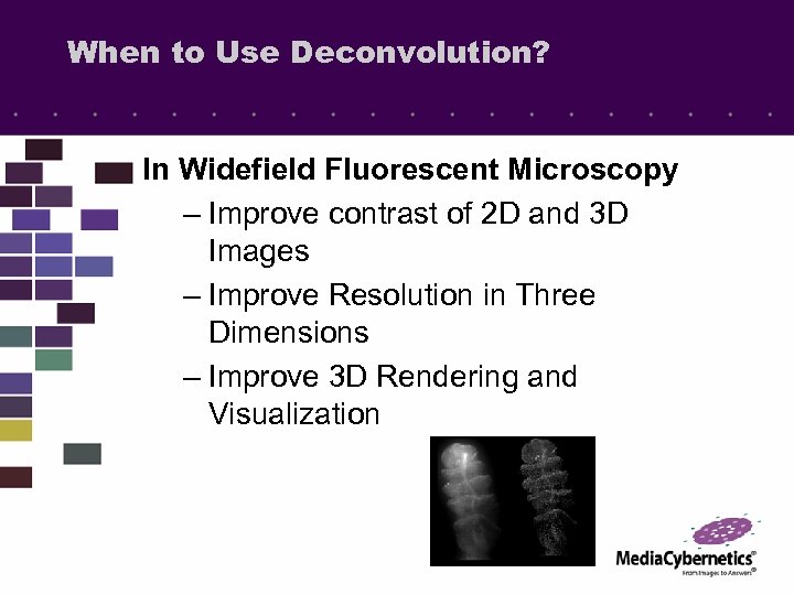 When to Use Deconvolution? In Widefield Fluorescent Microscopy – Improve contrast of 2 D