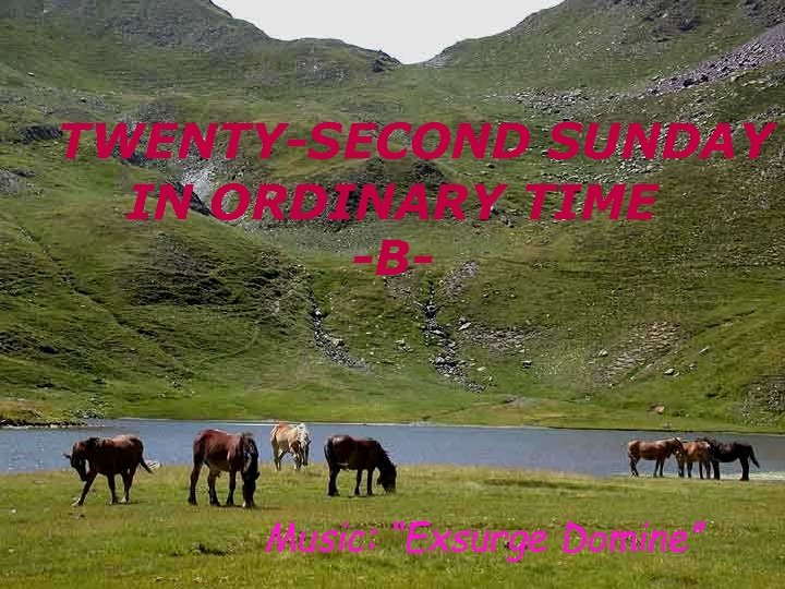 TWENTY-SECOND SUNDAY IN ORDINARY TIME -B- Music: “Exsurge Domine” 