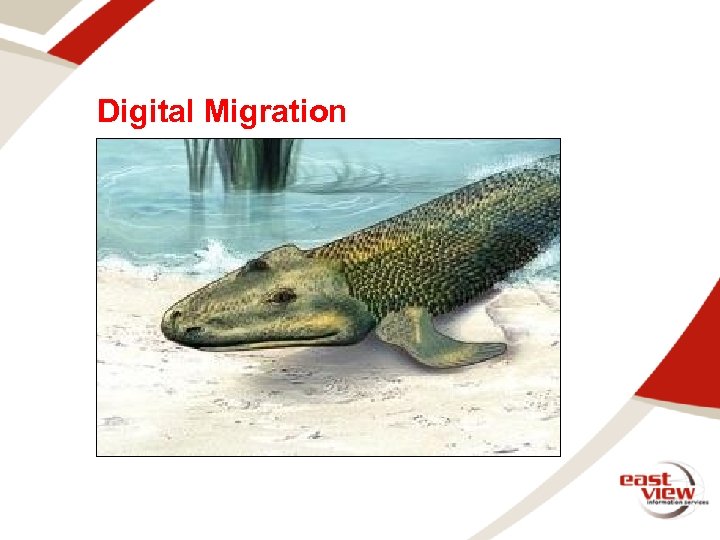 Digital Migration 