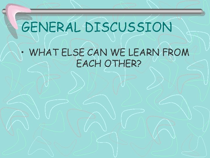 GENERAL DISCUSSION • WHAT ELSE CAN WE LEARN FROM EACH OTHER? 