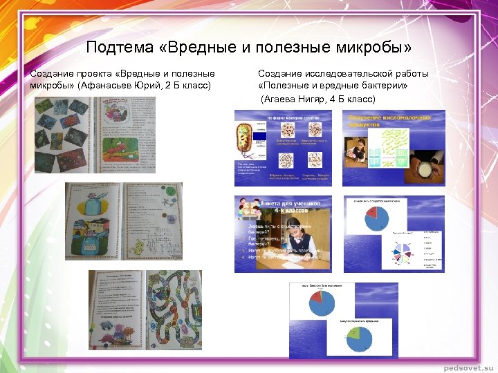 Подтема «Вредные и полезные микробы» Создание проекта «Вредные и полезные микробы» (Афанасьев Юрий, 2