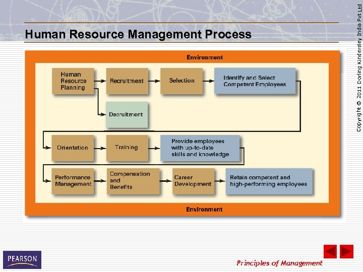 Principles of Management Copyright © 2011 Dorling Kindersley India Pvt Ltd Human Resource Management