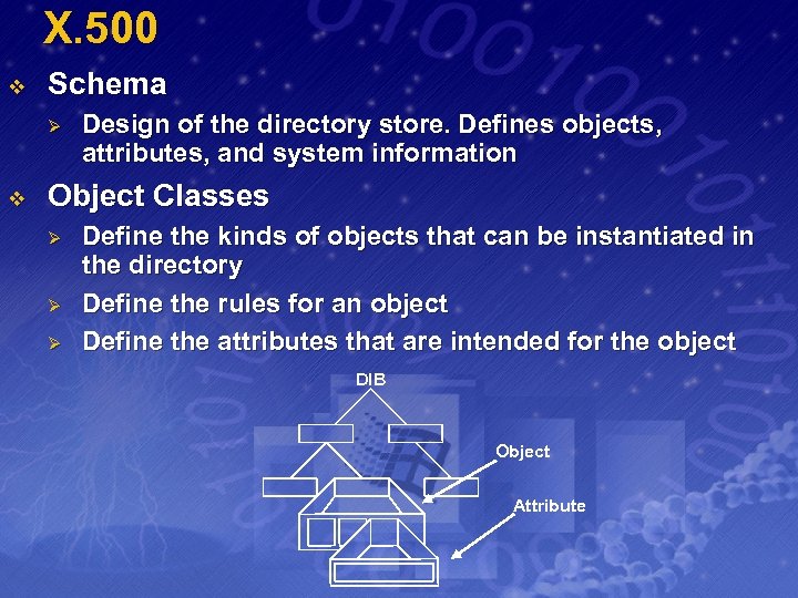 X. 500 v Schema Ø v Design of the directory store. Defines objects, attributes,