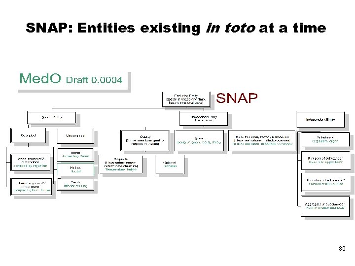 SNAP: Entities existing in toto at a time 80 