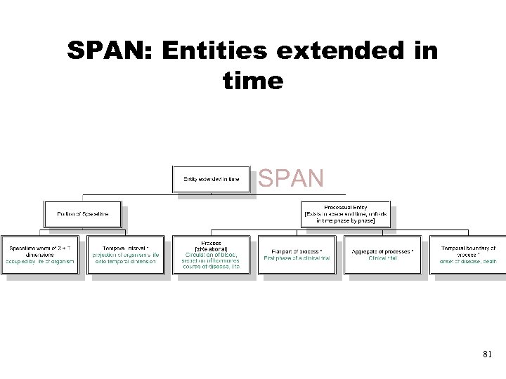 SPAN: Entities extended in time 81 