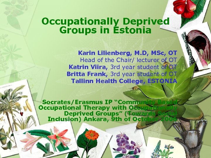 Occupationally Deprived Groups in Estonia Karin Lilienberg, M. D, MSc, OT Head of the