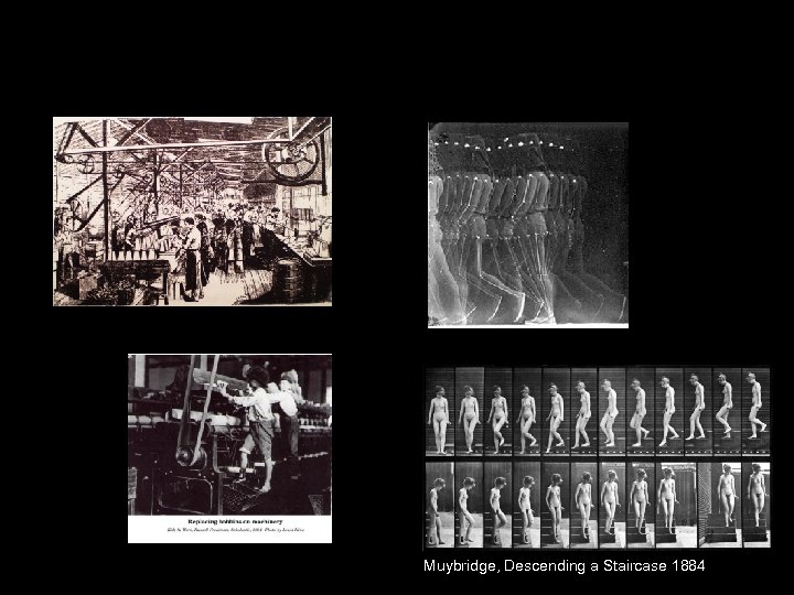 Muybridge, Descending a Staircase 1884 