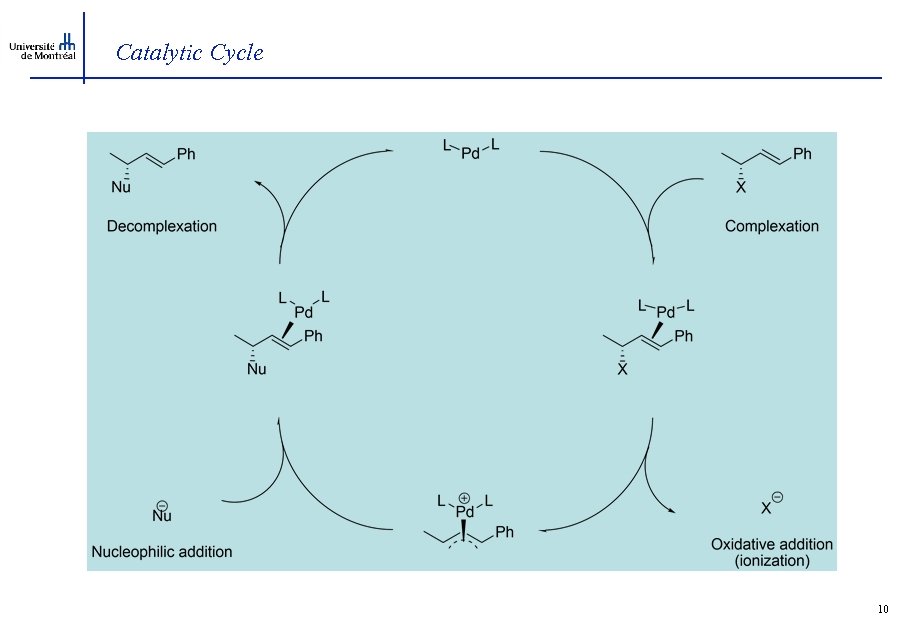 Catalytic Cycle 10 