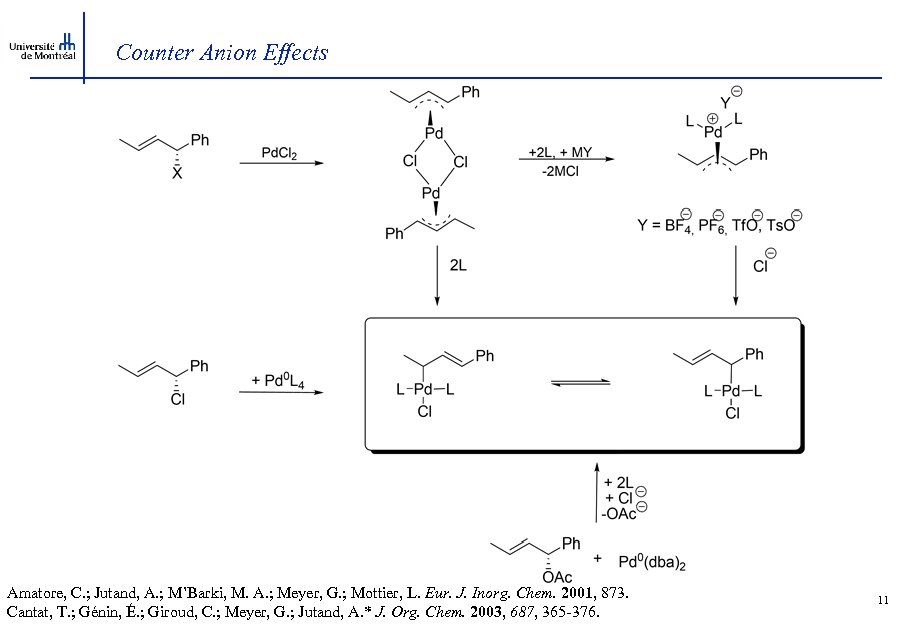 Counter Anion Effects Amatore, C. ; Jutand, A. ; M’Barki, M. A. ; Meyer,