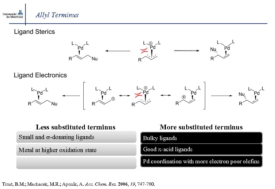 Allyl Terminus Less substituted terminus More substituted terminus Small and s-donating ligands Bulky ligands