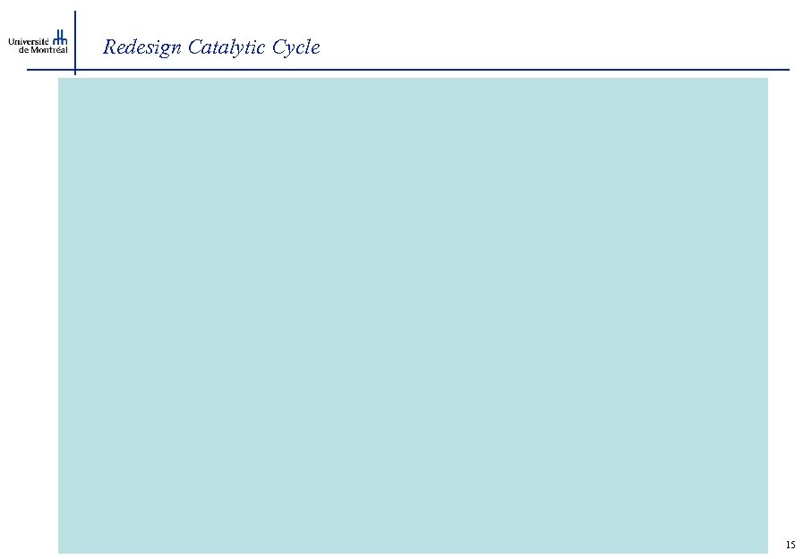 Redesign Catalytic Cycle 15 