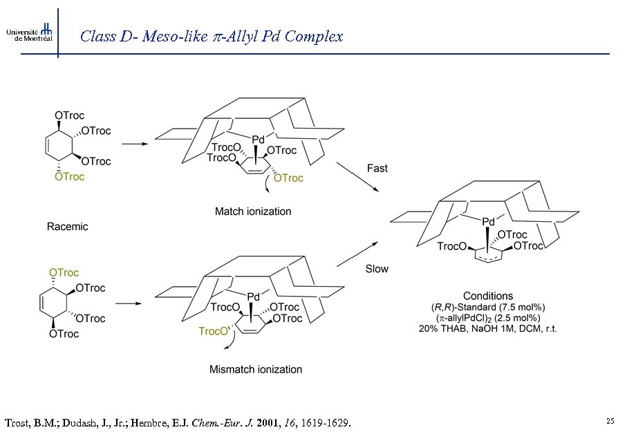 Class D- Meso-like -Allyl Pd Complex Trost, B. M. ; Dudash, J. , Jr.