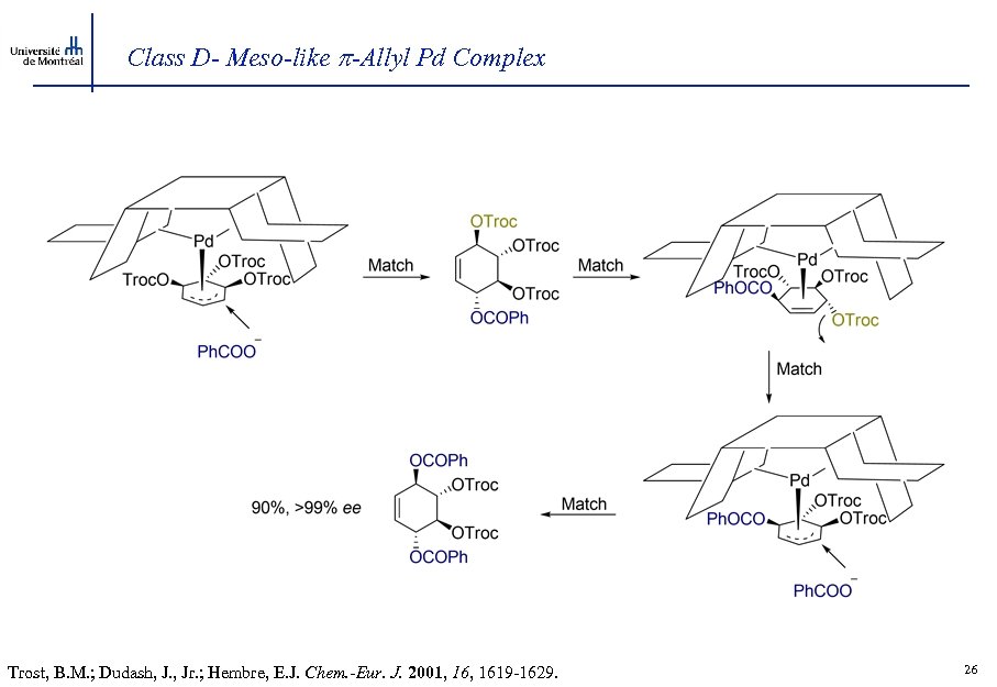 Class D- Meso-like -Allyl Pd Complex Trost, B. M. ; Dudash, J. , Jr.