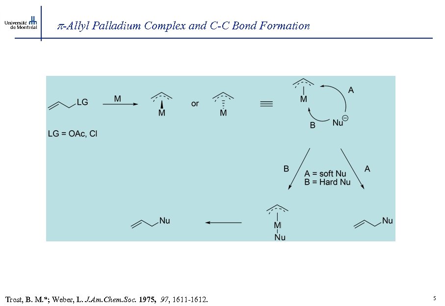  -Allyl Palladium Complex and C-C Bond Formation Trost, B. M. *; Weber, L.