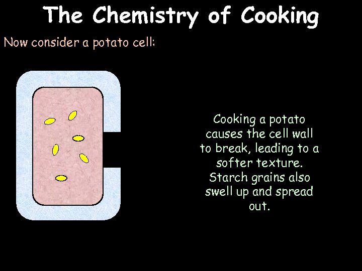 The Chemistry of Cooking Now consider a potato cell: Cooking a potato causes the