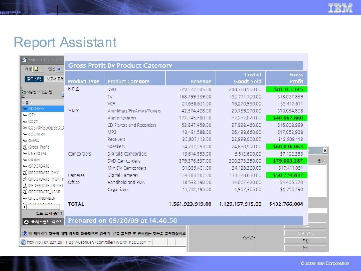 Report Assistant © 2009 IBM Corporation 