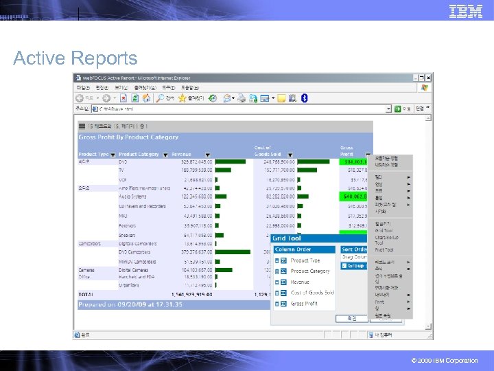 Active Reports © 2009 IBM Corporation 