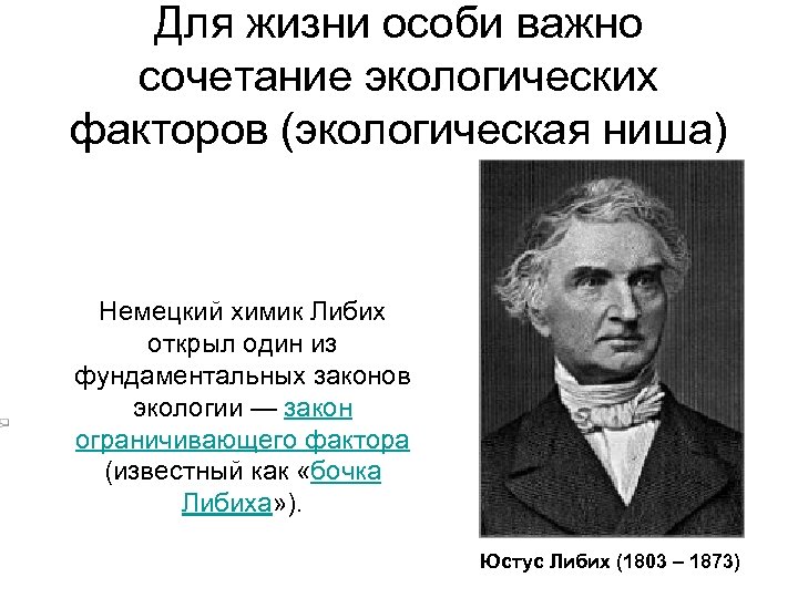 Для жизни особи важно сочетание экологических факторов (экологическая ниша) Немецкий химик Либих открыл один