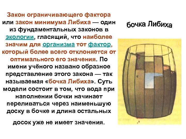 Закон ограничивающего фактора или закон минимума Либиха — один из фундаментальных законов в экологии,