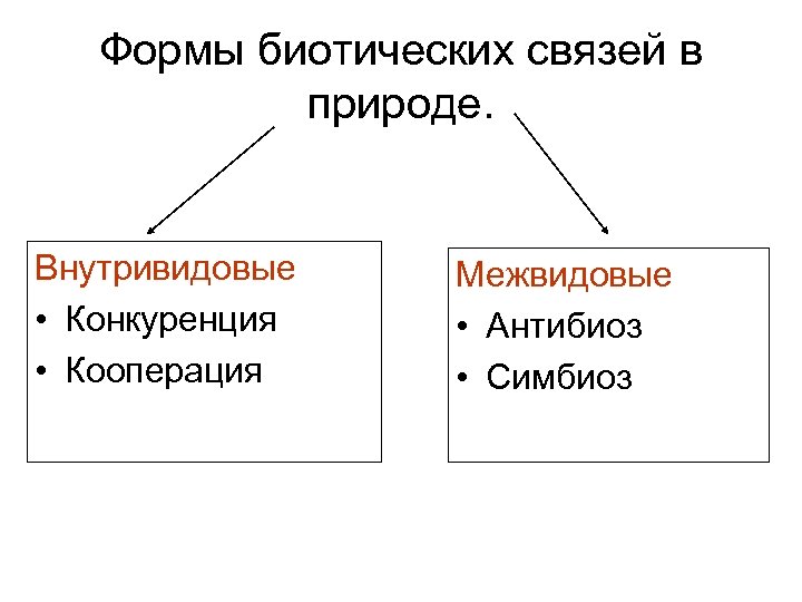 Формы биотических связей в природе. Внутривидовые • Конкуренция • Кооперация Межвидовые • Антибиоз •