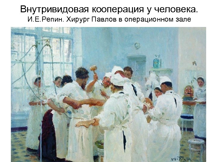 Внутривидовая кооперация у человека. И. Е. Репин. Хирург Павлов в операционном зале 