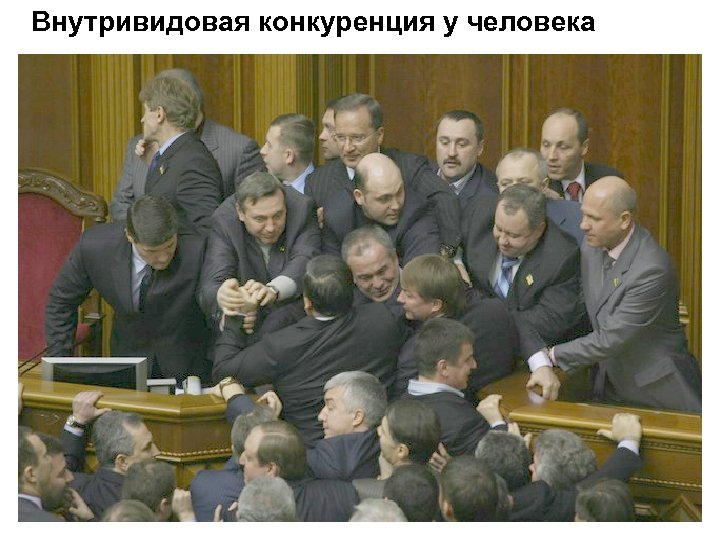 Внутривидовая конкуренция у человека 