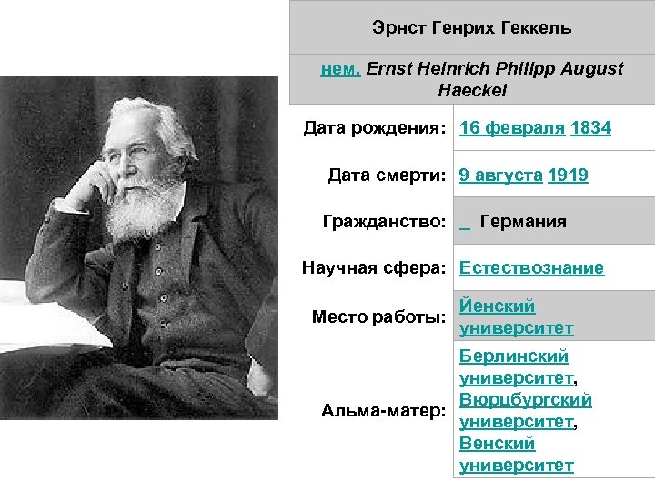 Эрнст Генрих Геккель нем. Ernst Heinrich Philipp August Haeckel Дата рождения: 16 февраля 1834