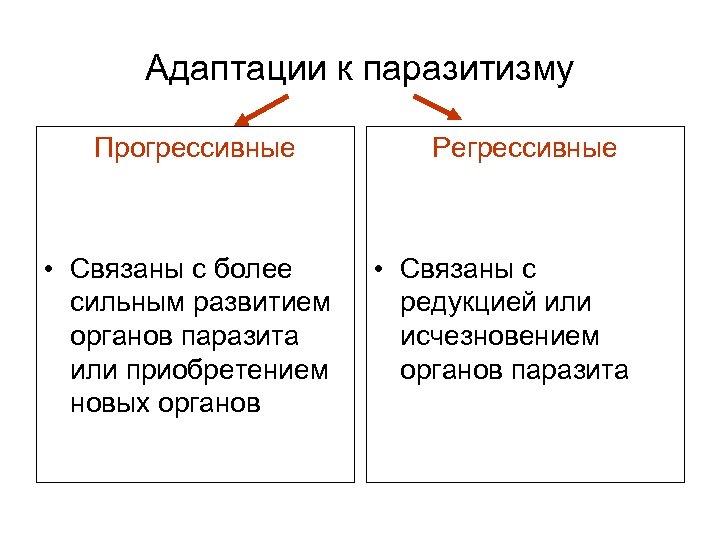 Адаптации к паразитизму Прогрессивные • Связаны с более сильным развитием органов паразита или приобретением