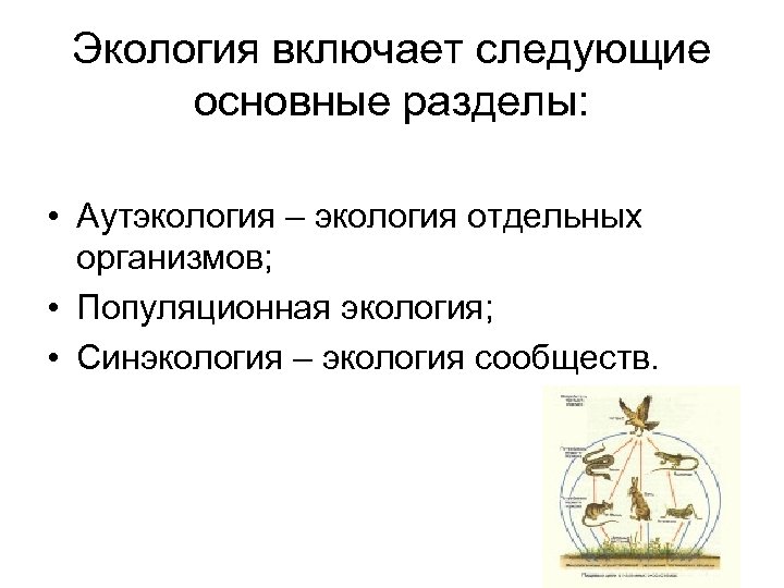 Экология включает следующие основные разделы: • Аутэкология – экология отдельных организмов; • Популяционная экология;