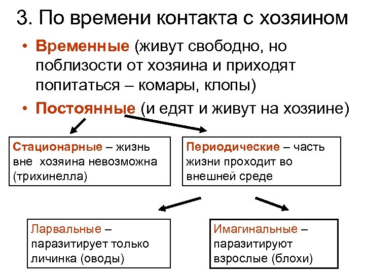 3. По времени контакта с хозяином • Временные (живут свободно, но поблизости от хозяина